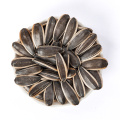 Chinese origin sunflower seeds new choice